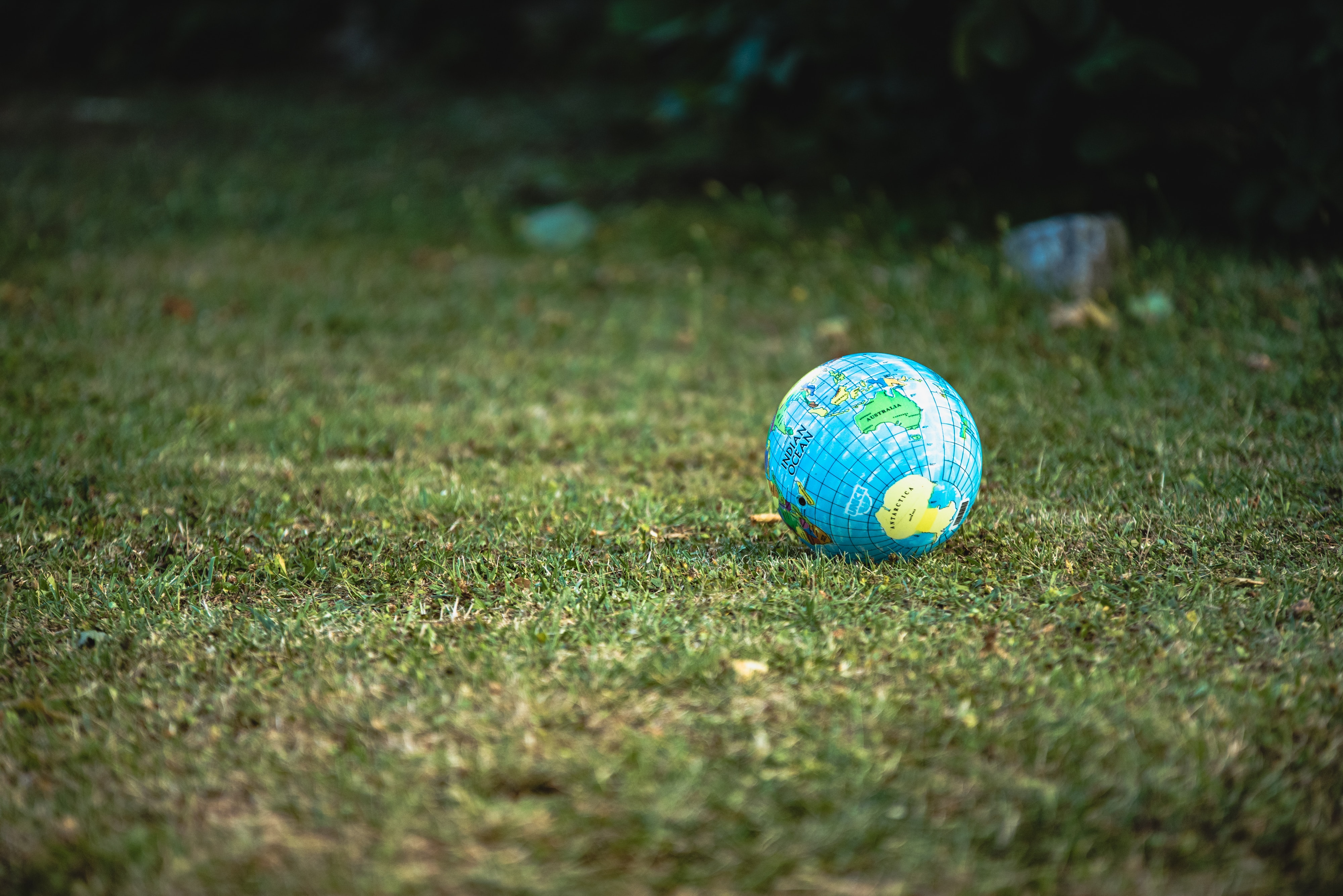 Fake earth on grass