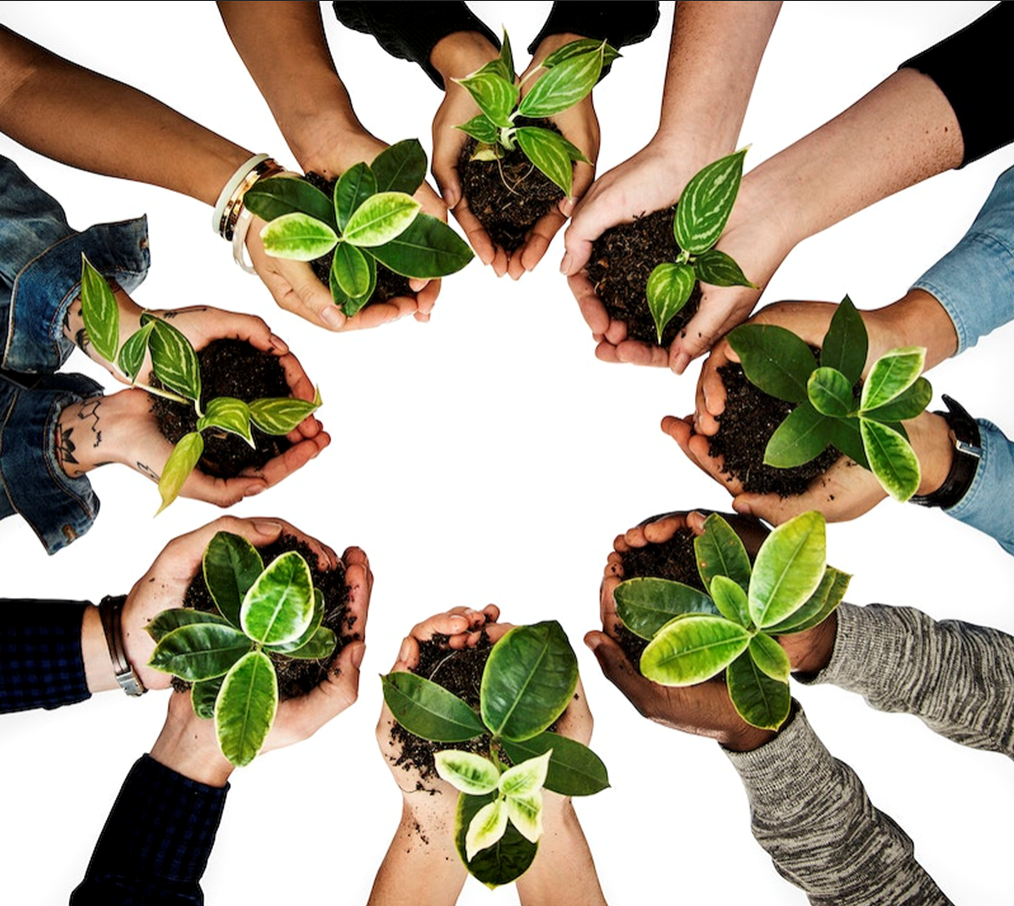 Plants in Hands in a circle of people