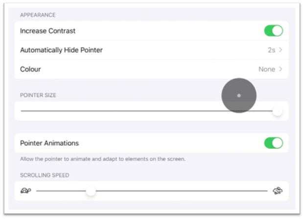 pointer control settings